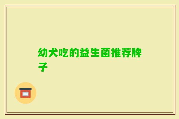 幼犬吃的益生菌推荐牌子
