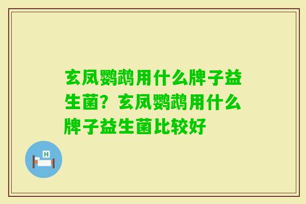 玄凤鹦鹉用什么牌子益生菌？玄凤鹦鹉用什么牌子益生菌比较好