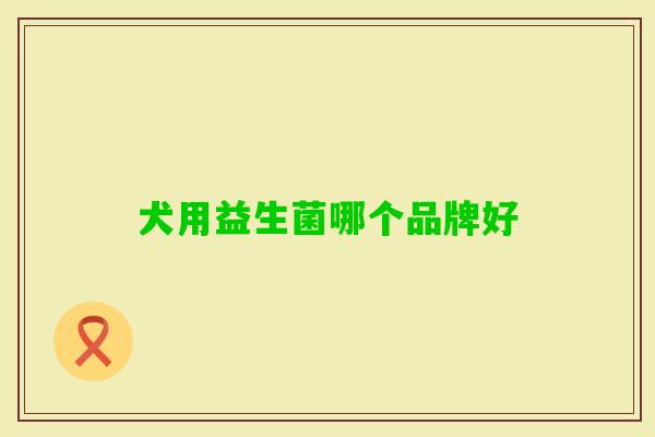 犬用益生菌哪个品牌好 犬用益生菌哪个品牌好