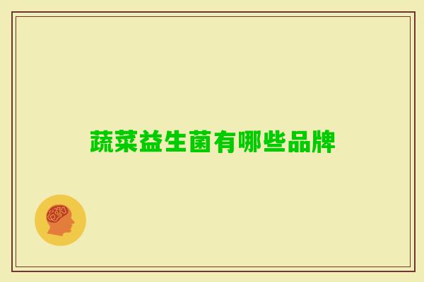 蔬菜益生菌有哪些品牌