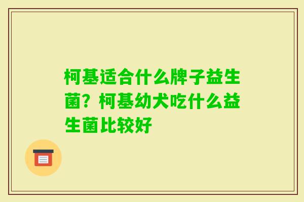 柯基适合什么牌子益生菌?柯基幼犬吃什么益生菌比较好 柯基适合什么牌子益生菌?柯基幼犬吃什么益生菌比较好