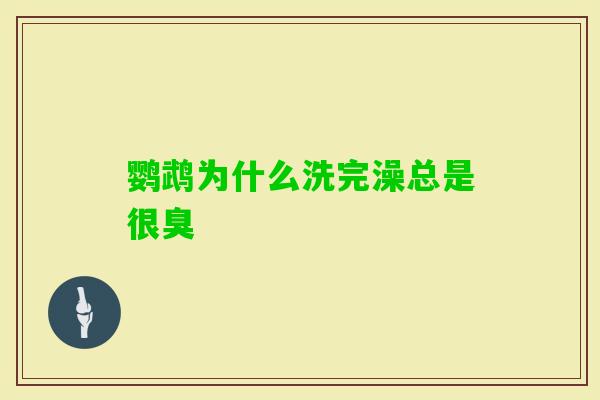 鹦鹉为什么洗完澡总是很臭