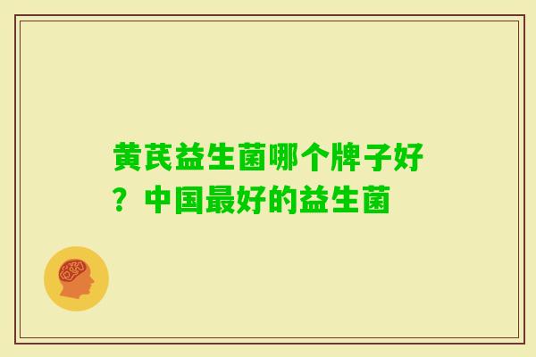 黄芪益生菌哪个牌子好?中国好的益生菌 黄芪益生菌哪个牌子好?中国好的益生菌
