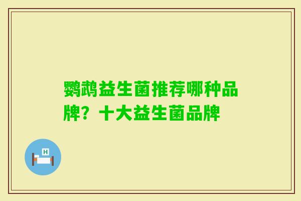 鹦鹉益生菌推荐哪种品牌？十大益生菌品牌