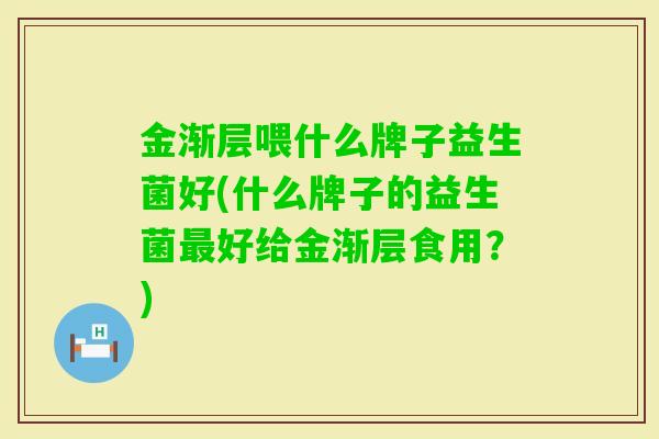 金渐层喂什么牌子益生菌好(什么牌子的益生菌好给金渐层食用?) 金渐层喂什么牌子益生菌好(什么牌子的益生菌好给金渐层食用?)