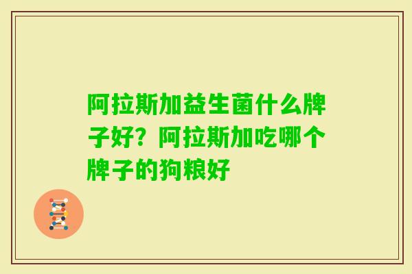 阿拉斯加益生菌什么牌子好?阿拉斯加吃哪个牌子的狗粮好 阿拉斯加益生菌什么牌子好?阿拉斯加吃哪个牌子的狗粮好