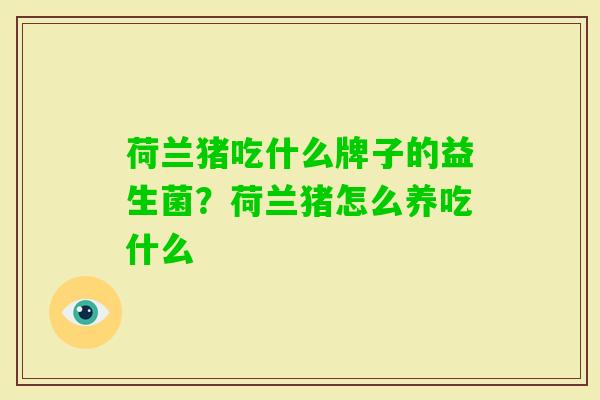 荷兰猪吃什么牌子的益生菌?荷兰猪怎么养吃什么 荷兰猪吃什么牌子的益生菌?荷兰猪怎么养吃什么