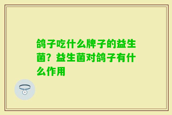 鸽子吃什么牌子的益生菌?益生菌对鸽子有什么作用 鸽子吃什么牌子的益生菌?益生菌对鸽子有什么作用