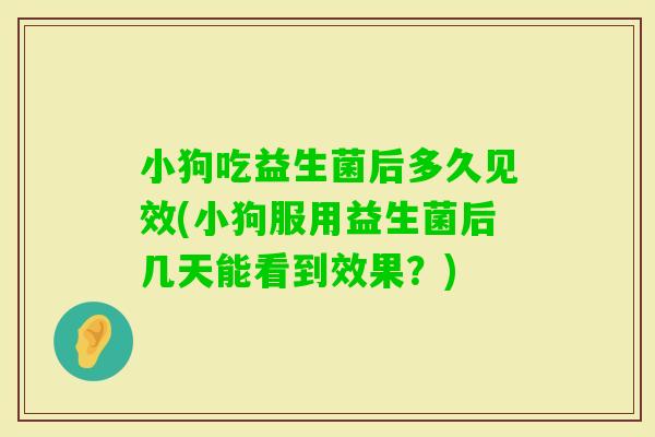 小狗吃益生菌后多久见效(小狗服用益生菌后几天能看到效果？)