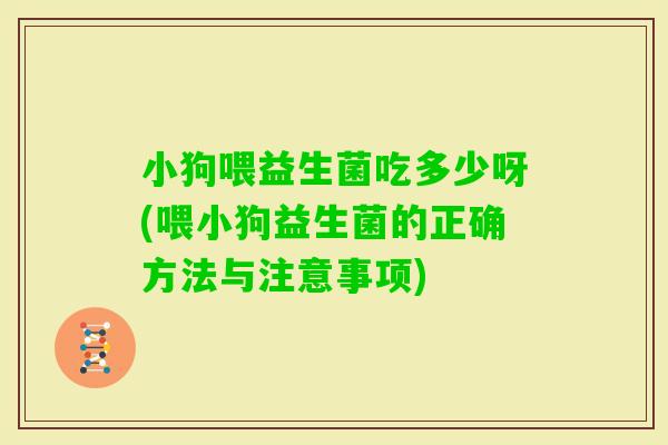 小狗喂益生菌吃多少呀(喂小狗益生菌的正确方法与注意事项)