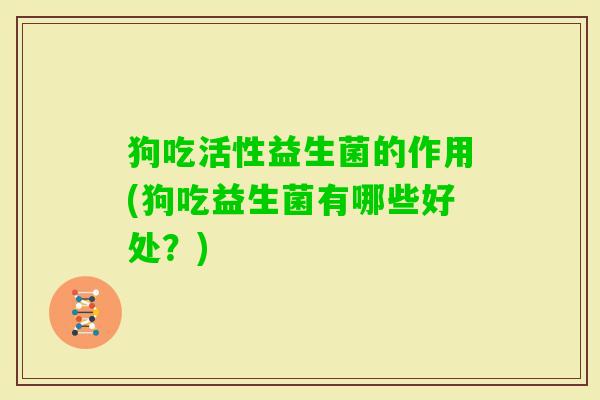 狗吃活性益生菌的作用(狗吃益生菌有哪些好处？)