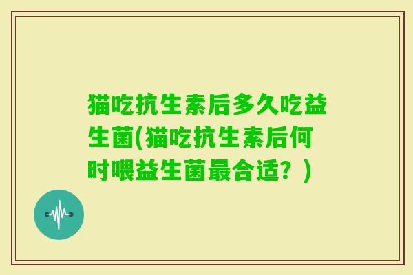 猫吃抗生素后多久吃益生菌(猫吃抗生素后何时喂益生菌合适？)