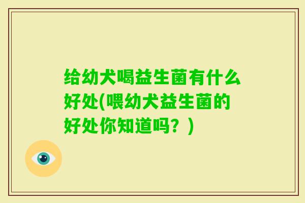 给幼犬喝益生菌有什么好处(喂幼犬益生菌的好处你知道吗?) 给幼犬喝益生菌有什么好处(喂幼犬益生菌的好处你知道吗?)