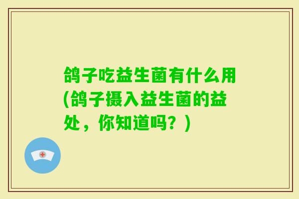 鸽子吃益生菌有什么用(鸽子摄入益生菌的益处，你知道吗？)