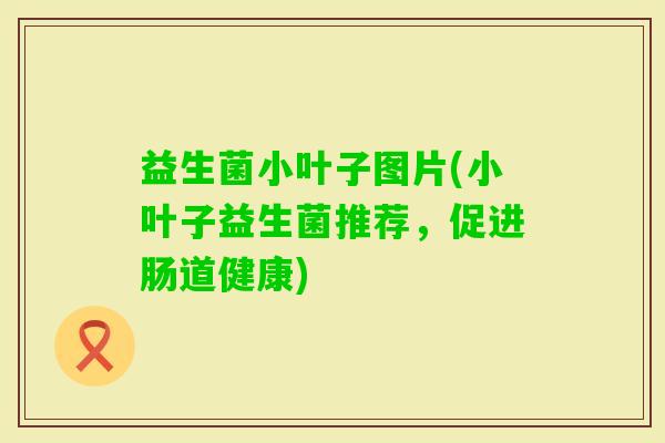 益生菌小叶子图片(小叶子益生菌推荐，促进肠道健康)