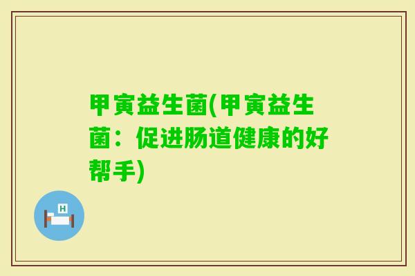 甲寅益生菌(甲寅益生菌：促进肠道健康的好帮手)