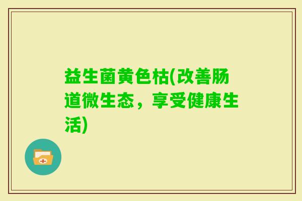 益生菌黄色枯(改善肠道微生态，享受健康生活)