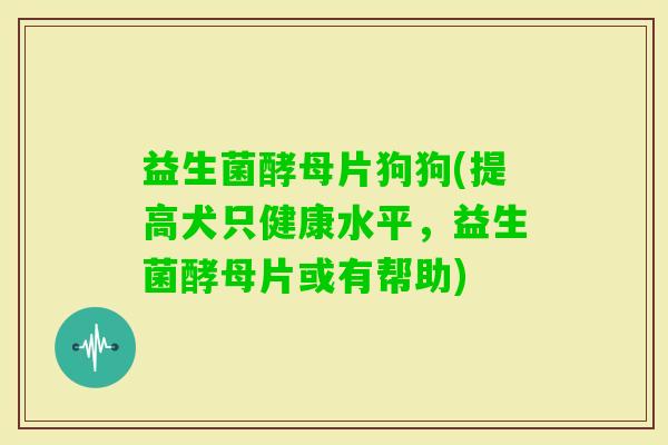 益生菌酵母片狗狗(提高犬只健康水平，益生菌酵母片或有帮助)