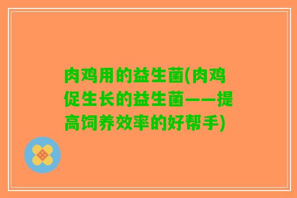 肉鸡用的益生菌(肉鸡促生长的益生菌——提高饲养效率的好帮手)