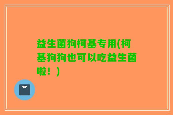 益生菌狗柯基专用(柯基狗狗也可以吃益生菌啦！)