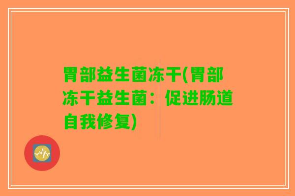 胃部益生菌冻干(胃部冻干益生菌：促进肠道自我修复)
