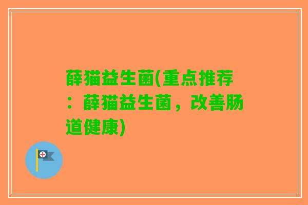 薛猫益生菌(重点推荐：薛猫益生菌，改善肠道健康)