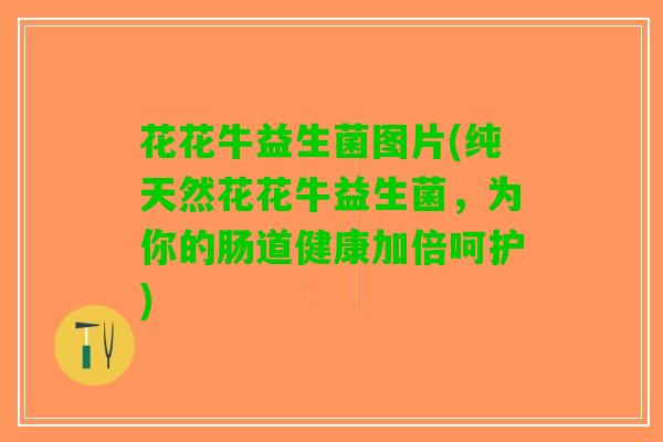 花花牛益生菌图片(纯天然花花牛益生菌，为你的肠道健康加倍呵护)