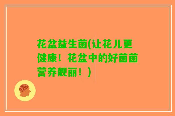 花盆益生菌(让花儿更健康！花盆中的好菌菌营养靓丽！)