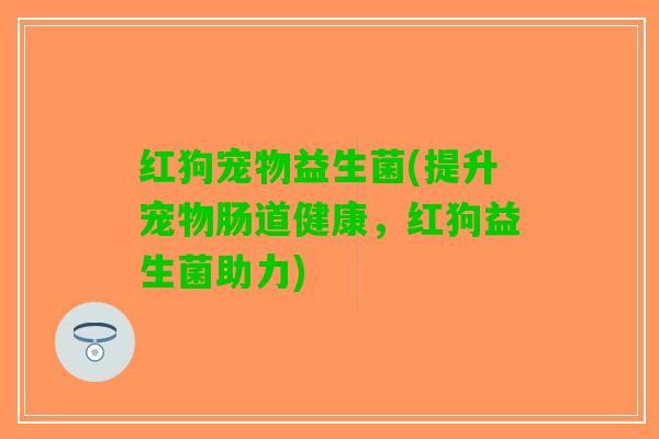 红狗宠物益生菌(提升宠物肠道健康，红狗益生菌助力)