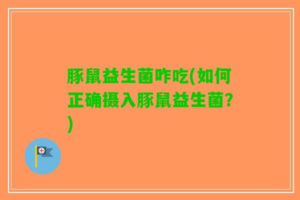 豚鼠益生菌咋吃(如何正确摄入豚鼠益生菌？)