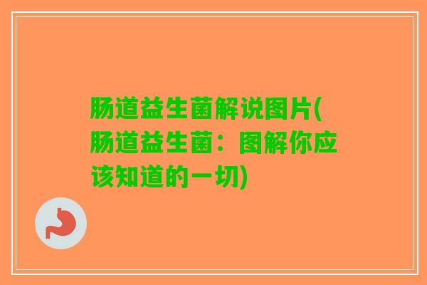 肠道益生菌解说图片(肠道益生菌：图解你应该知道的一切)