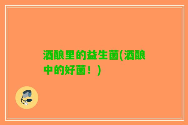 酒酿里的益生菌(酒酿中的好菌！)