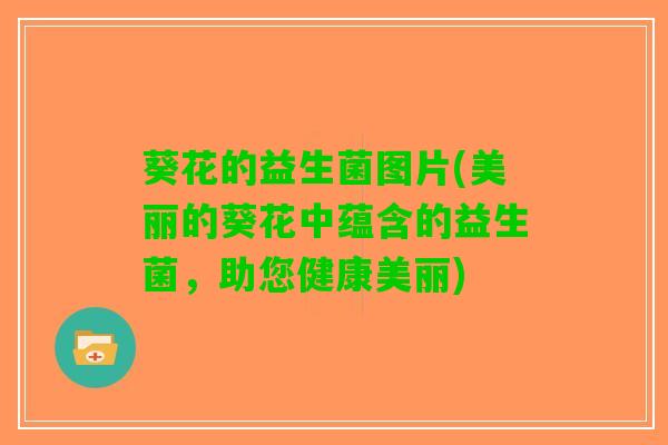 葵花的益生菌图片(美丽的葵花中蕴含的益生菌，助您健康美丽)