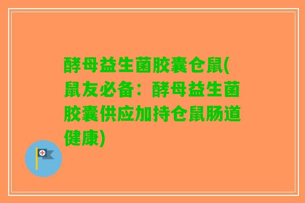 酵母益生菌胶囊仓鼠(鼠友必备：酵母益生菌胶囊供应加持仓鼠肠道健康)