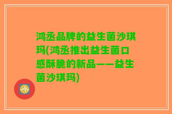 鸿丞品牌的益生菌沙琪玛(鸿丞推出益生菌口感酥脆的新品——益生菌沙琪玛)