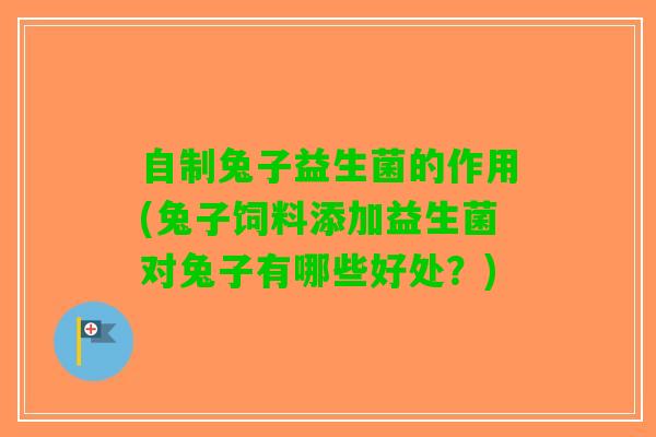 自制兔子益生菌的作用(兔子饲料添加益生菌对兔子有哪些好处？)