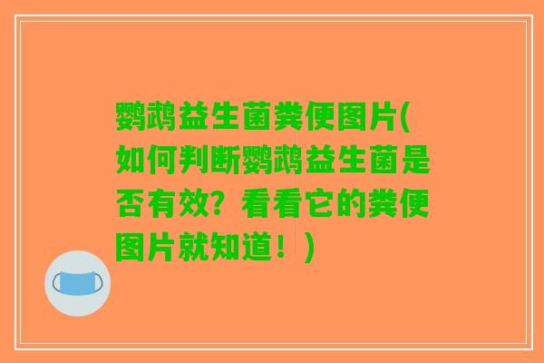 鹦鹉益生菌粪便图片(如何判断鹦鹉益生菌是否有效？看看它的粪便图片就知道！)