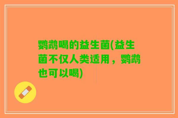 鹦鹉喝的益生菌(益生菌不仅人类适用，鹦鹉也可以喝)