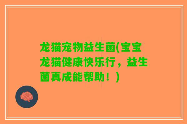 龙猫宠物益生菌(宝宝龙猫健康快乐行，益生菌真成能帮助！)