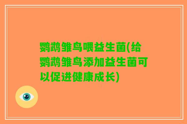鹦鹉雏鸟喂益生菌(给鹦鹉雏鸟添加益生菌可以促进健康成长)