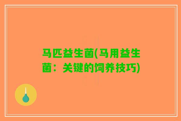 马匹益生菌(马用益生菌：关键的饲养技巧)