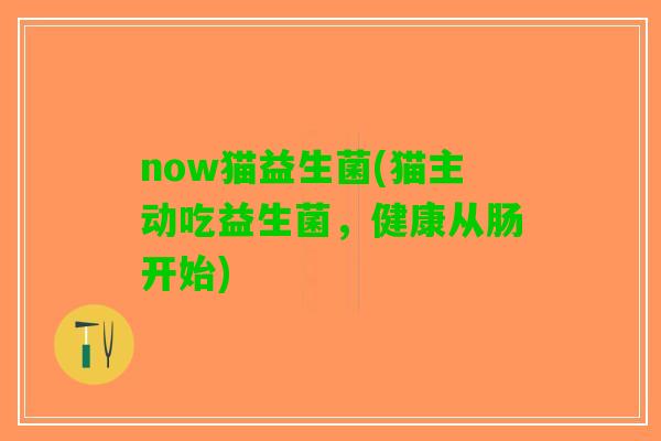 now猫益生菌(猫主动吃益生菌，健康从肠开始)