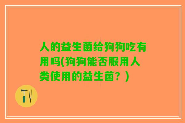 人的益生菌给狗狗吃有用吗(狗狗能否服用人类使用的益生菌？)