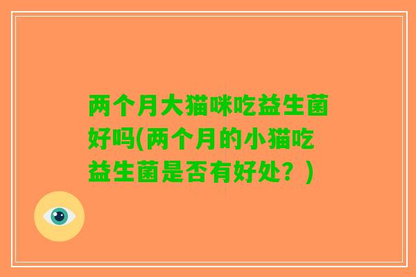 两个月大猫咪吃益生菌好吗(两个月的小猫吃益生菌是否有好处？)