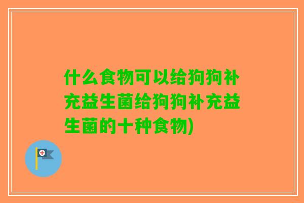 什么食物可以给狗狗补充益生菌给狗狗补充益生菌的十种食物)