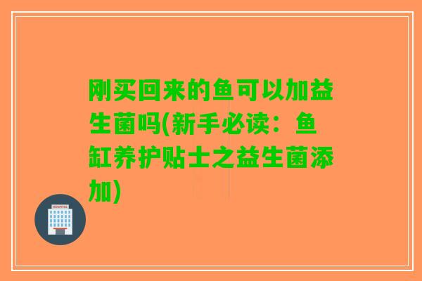 刚买回来的鱼可以加益生菌吗(新手必读：鱼缸养护贴士之益生菌添加)