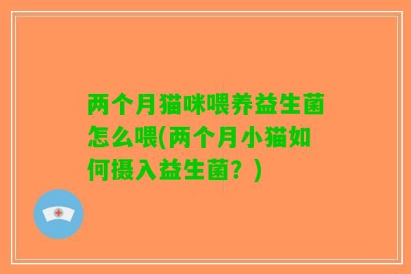 两个月猫咪喂养益生菌怎么喂(两个月小猫如何摄入益生菌?) 两个月猫咪喂养益生菌怎么喂(两个月小猫如何摄入益生菌?)
