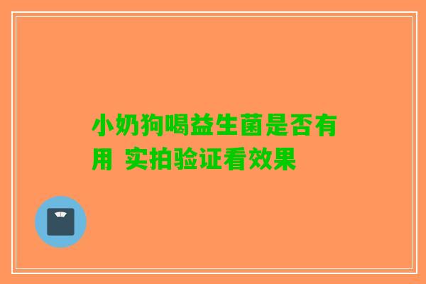 小奶狗喝益生菌是否有用 实拍验证看效果