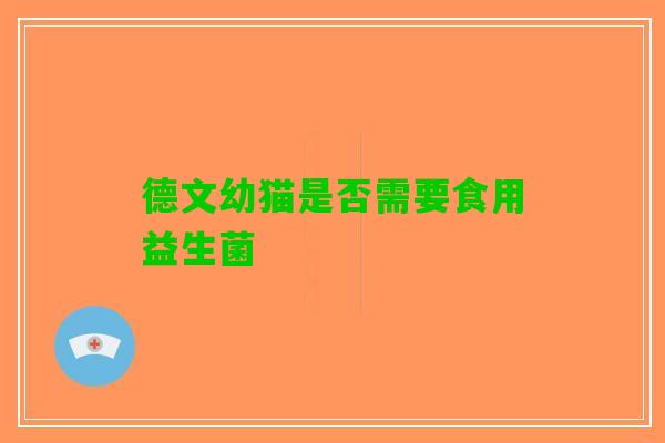 德文幼猫是否需要食用益生菌