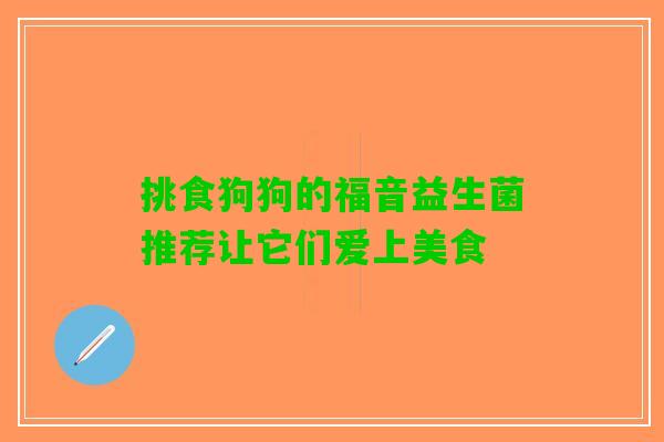 挑食狗狗的福音益生菌推荐让它们爱上美食